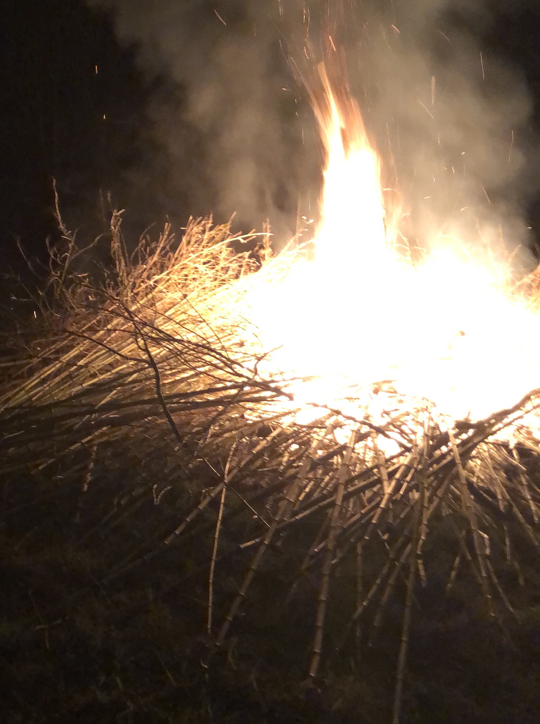 Ifeu de pâques